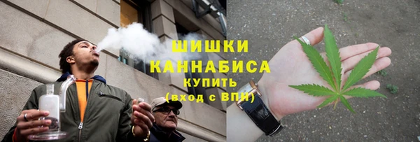 эйфоретик Гусев