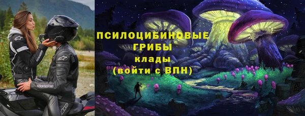 apvp Елизово