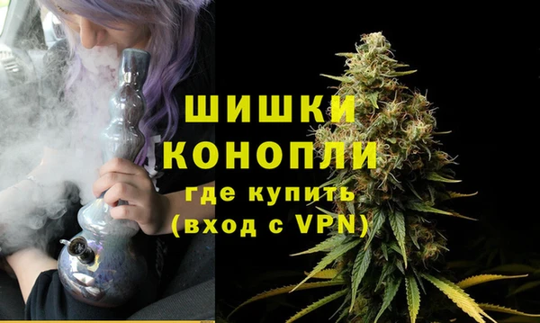 МДМА Ельня